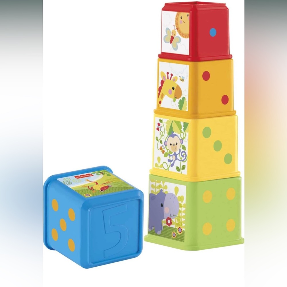 Fisher-Price Stack & Explore Blocks, Set of 5